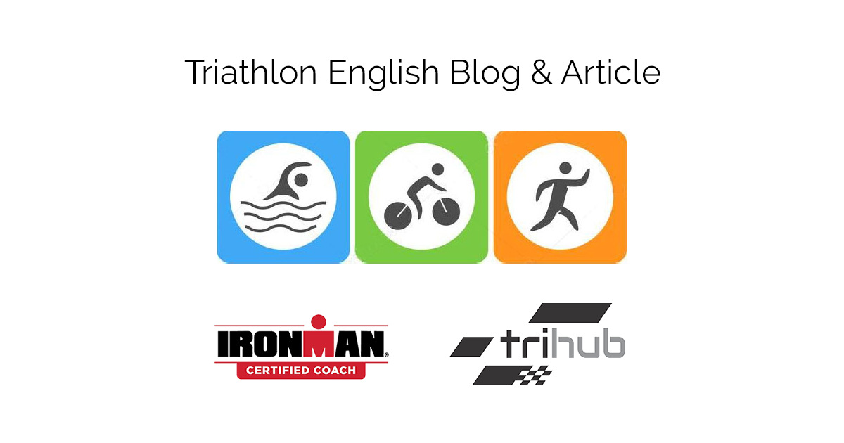 English Blog & Article