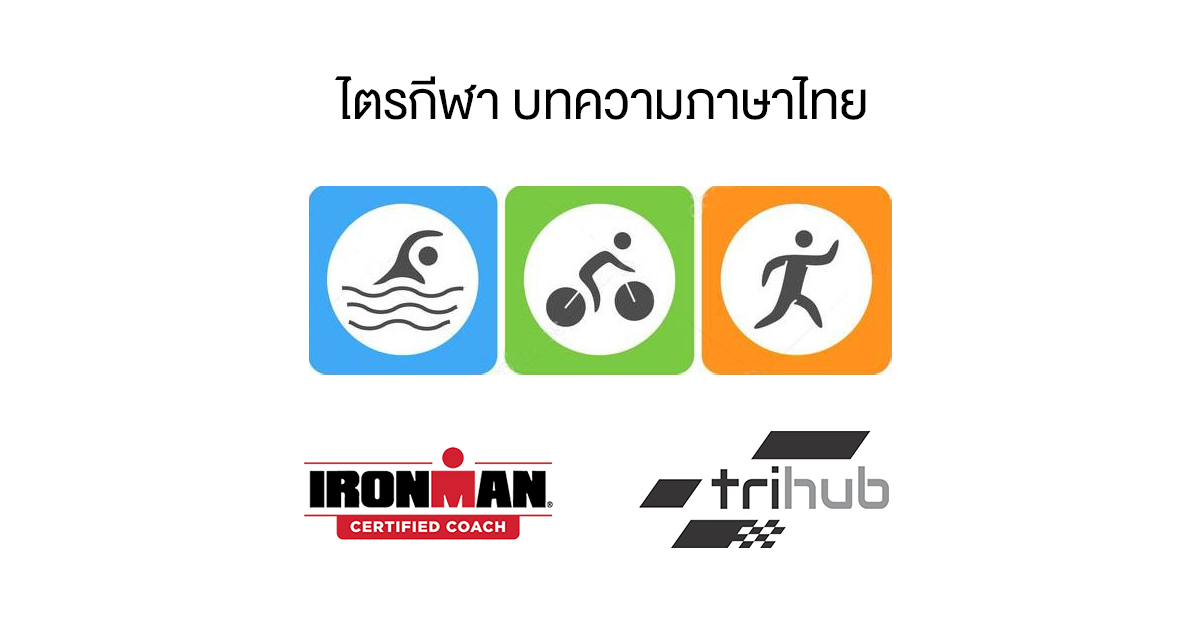 บทความไทย